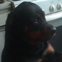 ���� �����, ������ - ��������� 11 ������� 2013 � ������ ���� ����������