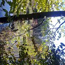 ���� �������, ����� - ��������� 12 ������� 2014 � ������ ��� ��� ������ ���