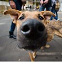   , -, 60  -  27  2013    