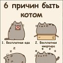 ���� �����, �������, 48 ��� - ��������� 5 ������� 2013 � ������ �)))�