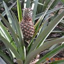 ���� �������, ���������� �����, 54 ���� - ��������� 25 ������ 2013 � ������ ���� ���� ������