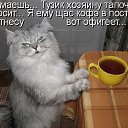 ���� *E*l*e*n*@*, ������� - ��������� 13 ������� 2014 � ������ ������ ��������