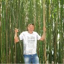  ,  , 61  -  24  2014