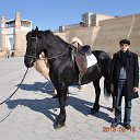  Sherzod, , 47  -  17  2013