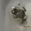 ��� ����������� �����... �� ������� ������������� �����.�