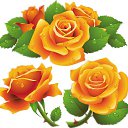 ���� Zigzag, �����, 38 ��� - ��������� 20 ������� 2013 � ������ ���������!�