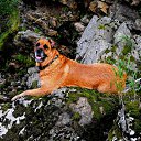 ����. �� ������� ����������.�