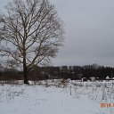 ���� �����, ���������, 61 ��� - ��������� 22 ������� 2014 � ������ ������ ��������