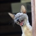 ���� �������, �����-��������� - ��������� 10 ������ 2014 � ������ ���� ����������