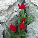 ���� Ilhan, ����� - ��������� 13 ����� 2014 � ������ ���� ����������