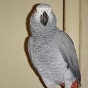 ���� ������, ����� - ��������� 14 ����� 2014 � ������ ������!�