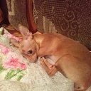 ���� �������, ������� - ��������� 13 ����� 2014 � ������ ���� ����������