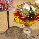 ���� �����, �������� - ��������� 24 ������� 2013 � ������ ���� ����������