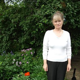 ���� ������� �������, �����-���������, 71 ��� - ��������� 13 ������ 2014