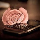 ���� �������, ���� - ��������� 13 ������ 2013 � ������ �Leo�