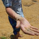 ���� ���������, ������, 39 ��� - ��������� 6 ������� 2013 � ������ ����-�����