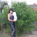 ���� �����, ���������, 31 ��� - ��������� 8 ������� 2013 � ������ ���� ����������