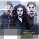 ���� ����, Los Angeles, 43 ���� - ��������� 13 ������� 2013 � ������ ���� ����������