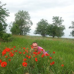 ���� �����, ������, 62 ���� - ��������� 22 ������� 2013