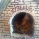 ���� ������, �������, 48 ��� - ��������� 2 ������� 2013 � ������ ���� ����������