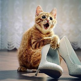 ���� ����� �������, �����-���������, 44 ���� - ��������� 4 ������� 2013