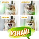 ���� ��, ���, ������ ��������, 44 ���� - ��������� 29 ������� 2013 � ������ ���� ����������