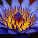 ���� Ruslan, ���������, 42 ���� - ��������� 23 ������� 2013 � ������ ���� ����������