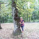 ���� �������, ��������, 72 ���� - ��������� 29 �������� 2013 � ������ ���� ����������