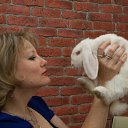 ���� �����, �������, 48 ��� - ��������� 1 �������� 2013 � ������ ���� ����������