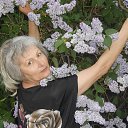 ���� �����, ���������� �����, 72 ���� - ��������� 30 ������� 2013 � ������ ���� ����������