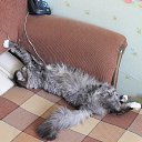 ���� ���������, ��������, 51 ��� - ��������� 14 ������ 2013 � ������ ���� ����������