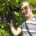 � ����� ���� �� ������� ���� ����������