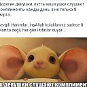 ���� ����, ���� - ��������� 9 ����� 2014 � ������ ������ ��������