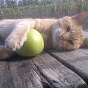 ���� ������, �����-��������� - ��������� 9 ������ 2013 � ������ ����