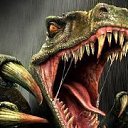 ���� ������, �����������, 35 ��� - ��������� 28 ������� 2014 � ������ ���� ����������