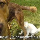 ���� ���, ������� - ��������� 10 ������� 2013 � ������ ���� ����������