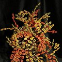 ���� �����, �����, 64 ���� - ��������� 20 ������� 2014 � ������ ���� ��������߻