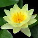 ���� Ruslan, ���������, 42 ���� - ��������� 23 ������� 2013 � ������ ���� ����������