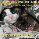 ���� ���� ���� 153, ������, 68 ��� - ��������� 19 ������� 2013 � ������ ������ ��������