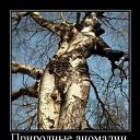 ���� ����, ������, 54 ���� - ��������� 19 ������� 2013 � ������ �������