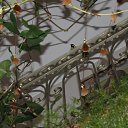 ���� ���, ������, 69 ��� - ��������� 23 ������� 2013