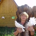 ���� ���������, ������, 69 ��� - ��������� 11 ������� 2013 � ������ ���� ����������