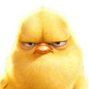 ���� � �� ������), ��� - ��������� 23 ������� 2013 � ������ ���� ����������