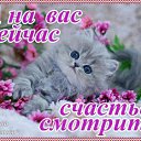���� �, ������, 61 ��� - ��������� 30 ������ 2014 � ������ ���� ����������