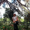 ���� ���������, ����, 39 ��� - ��������� 19 ������ 2014 � ������ ���� ����������