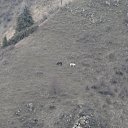 ���� �������, ���, 67 ��� - ��������� 28 ������� 2014 � ������ ������