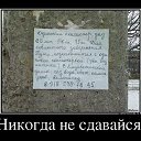 ���� ���������, ������, 57 ��� - ��������� 23 ������ 2014 � ������ ������ ������