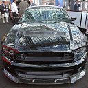 ���� ����, ���������, 33 ���� - ��������� 14 ������� 2013 � ������ ���� ����������