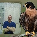 ���� ������, �����������, 53 ���� - ��������� 5 ������� 2014 � ������ ���� ����������