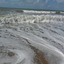 ���� ������, �������� - ��������� 19 �������� 2013 � ������ ���� ����������
